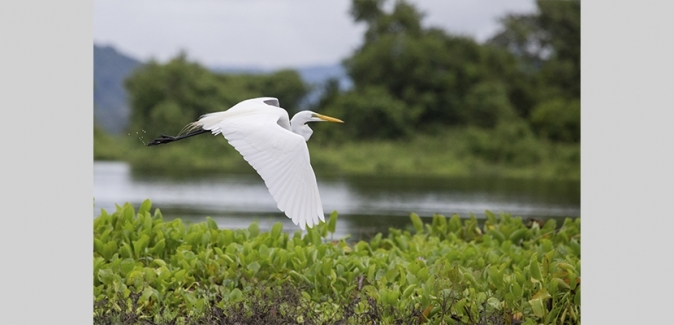 Pousada Reserva do Pantanal - Fotos do Local