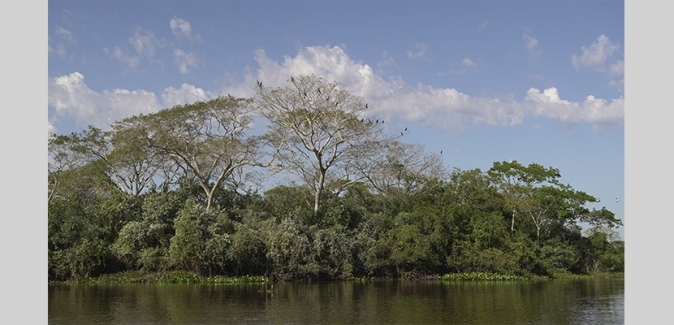 Pousada Reserva do Pantanal - Fotos do Local