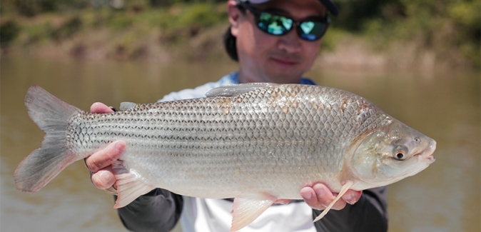 Pedrinho Pesca Turismo - Peixes do Local