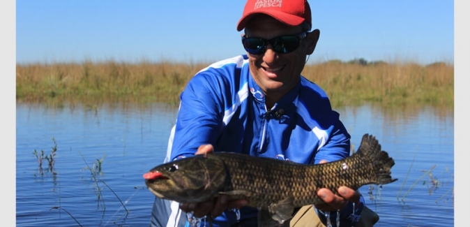 Cobras Pesca - Peixes do Local