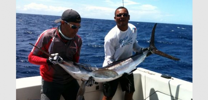 P1 Pesca Oceânica - Peixes do Local