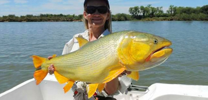 Empedrado Fishing - Peixes do Local