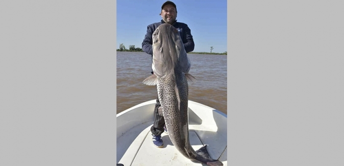 Empedrado Fishing - Peixes do Local