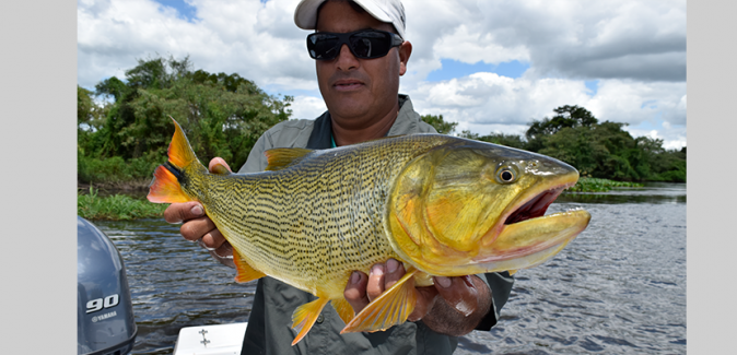 Ingá Lodge Hotel & Spa - Peixes do Local