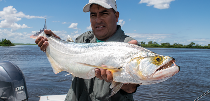 Ingá Lodge Hotel & Spa - Peixes do Local