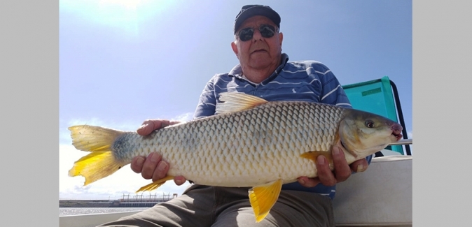 La Zona Lodge - Peixes do Local