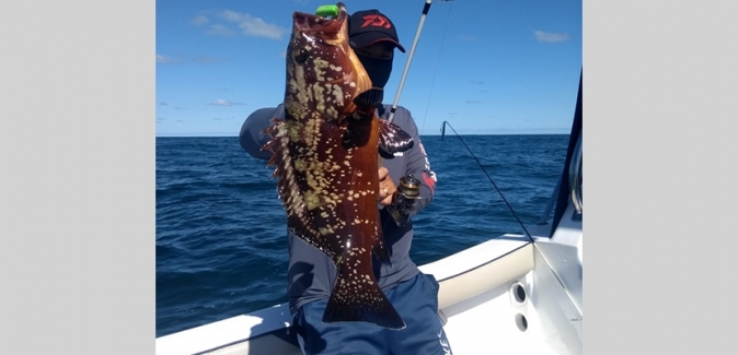 Operação Costeira e Oceânica - Peixes do Local