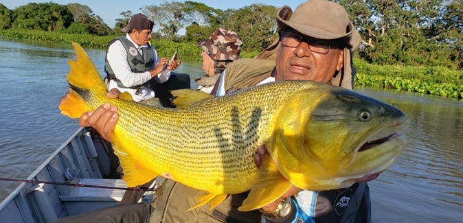 Pousada Pantanal Norte - Peixes do Local