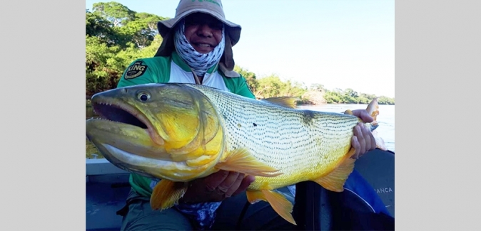 Pousada Pantanal Norte - Peixes do Local