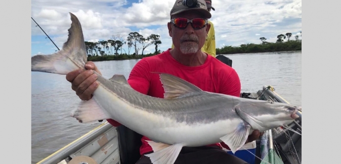 Araguaia Tur - Peixes do Local