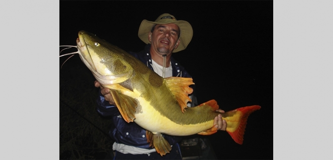 Araguaia Tur - Peixes do Local