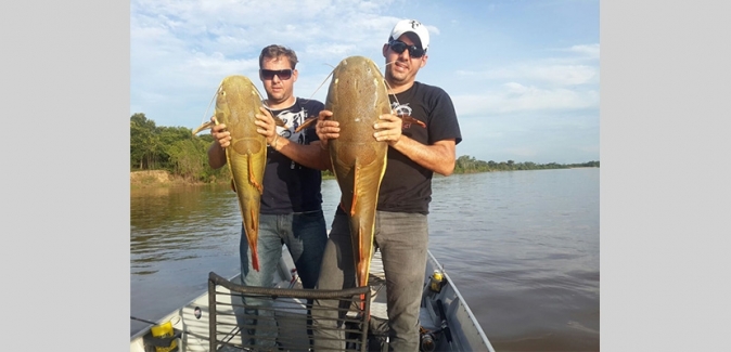 Araguaia Tur - Peixes do Local