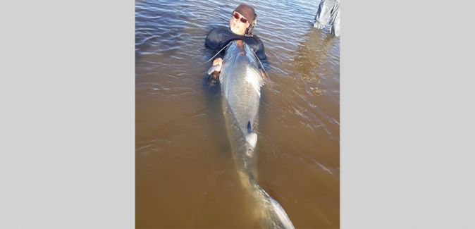Araguaia Tur - Peixes do Local
