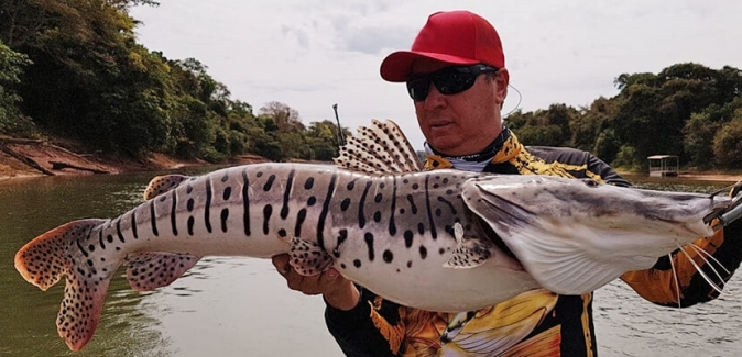 Pousada Alto Xingu - Peixes do Local