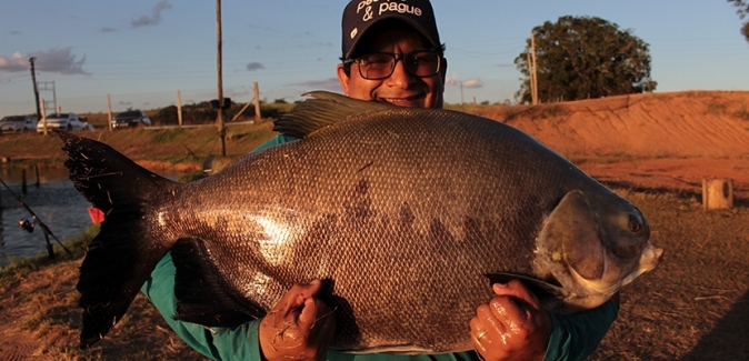 Pesqueiro do Italiano - Peixes do Local