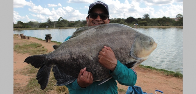 Pesqueiro do Italiano - Peixes do Local