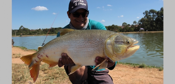 Pesqueiro do Italiano - Peixes do Local