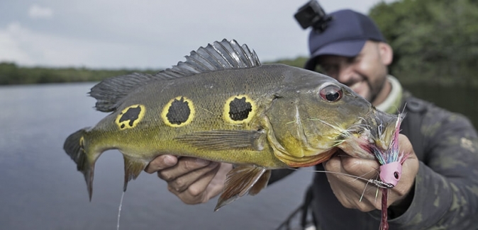 Pro Tucuna Pesca Esportiva - Peixes do Local