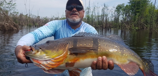 Pro Tucuna Pesca Esportiva - Peixes do Local