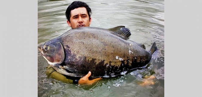 Garça Branca Pesca e Lazer - Peixes do Local