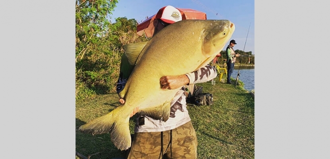 Garça Branca Pesca e Lazer - Peixes do Local