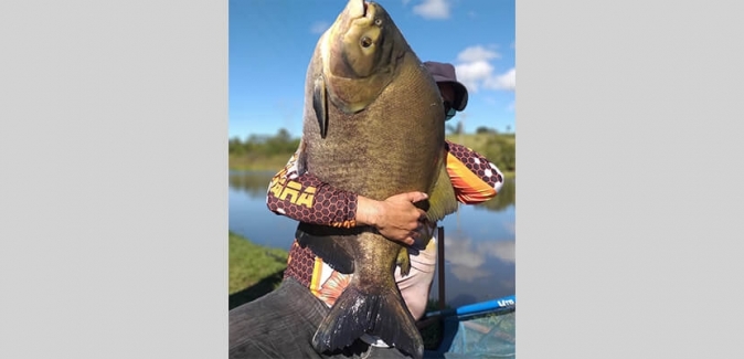 Garça Branca Pesca e Lazer - Peixes do Local