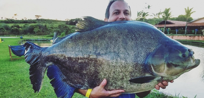 Garça Branca Pesca e Lazer - Peixes do Local