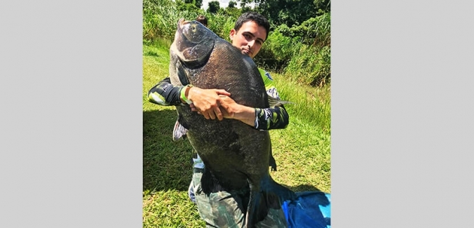 Garça Branca Pesca e Lazer - Peixes do Local