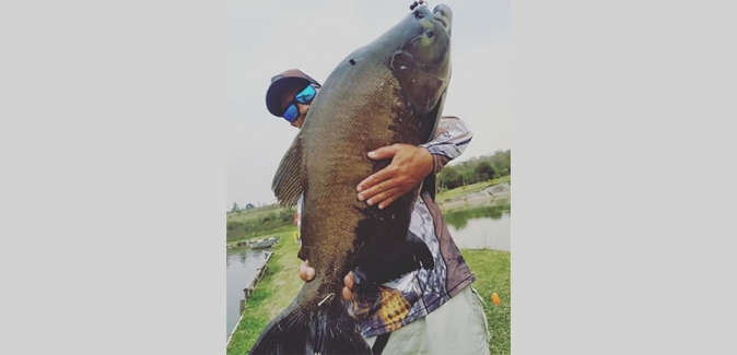 Garça Branca Pesca e Lazer - Peixes do Local