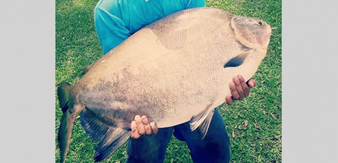 Garça Branca Pesca e Lazer - Peixes do Local