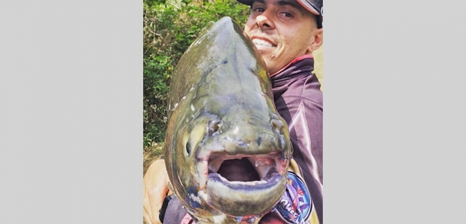 Garça Branca Pesca e Lazer - Peixes do Local