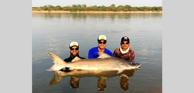 Pousada Sonho Meu - Peixes do Local