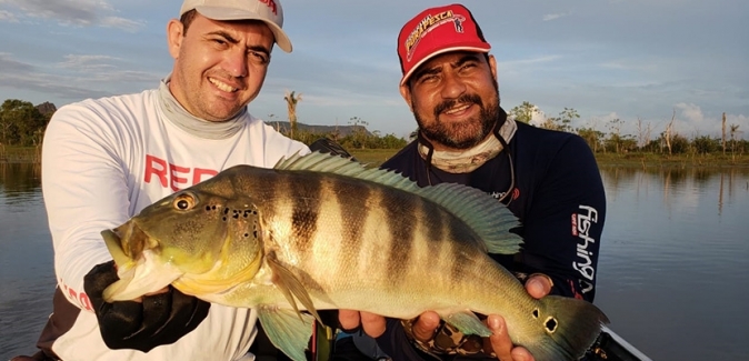 Operação Marreco Pescador - Peixes do Local