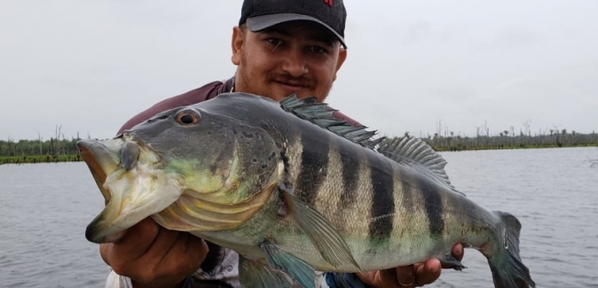 Operação Marreco Pescador - Peixes do Local