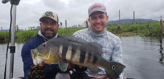 Operação Marreco Pescador - Peixes do Local