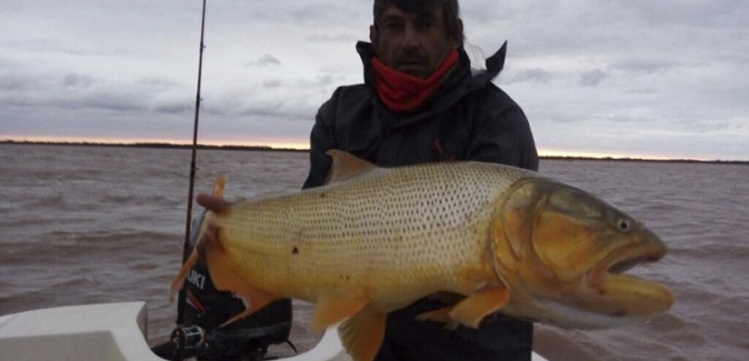 El Gordo y el Flaco Excursiones - Peixes do Local