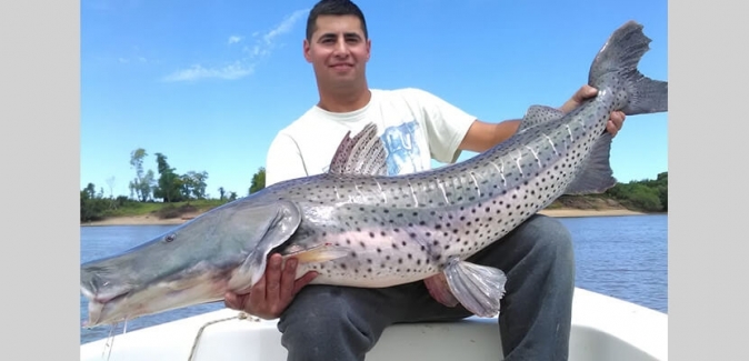 Puerto Yerua Pesca - Peixes do Local