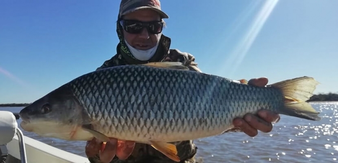 Puerto Yerua Pesca - Peixes do Local