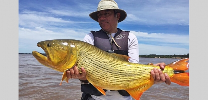 Puerto Yerua Pesca - Peixes do Local