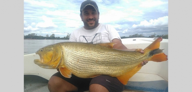 Puerto Yerua Pesca - Peixes do Local