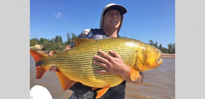 Puerto Yerua Pesca - Peixes do Local