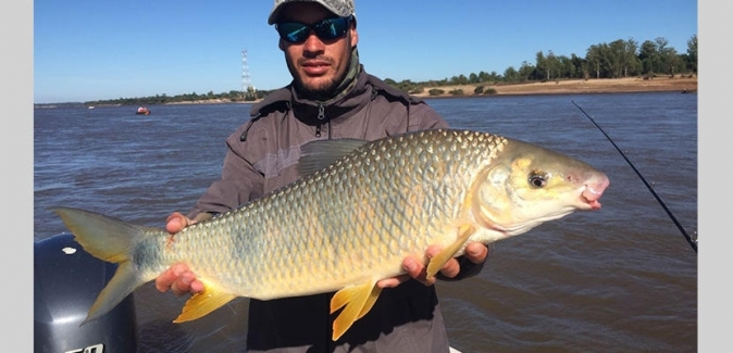 Puerto Yerua Pesca - Peixes do Local