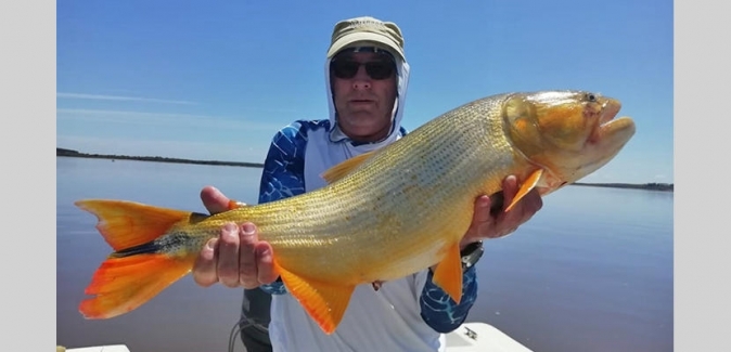 Puerto Yerua Pesca - Peixes do Local