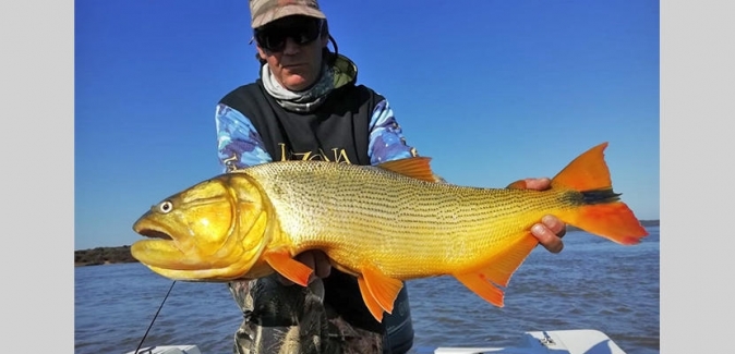 Puerto Yerua Pesca - Peixes do Local