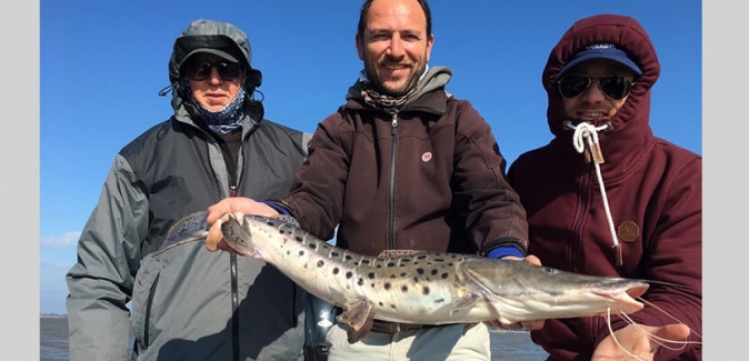 La Curiosa Excursões de Pesca - Peixes do Local