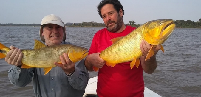 La Curiosa Excursões de Pesca - Peixes do Local