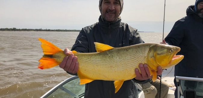 La Curiosa Excursões de Pesca - Peixes do Local