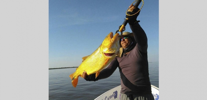 La Curiosa Excursões de Pesca - Peixes do Local