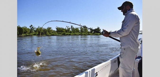 La Curiosa Excursões de Pesca - Peixes do Local