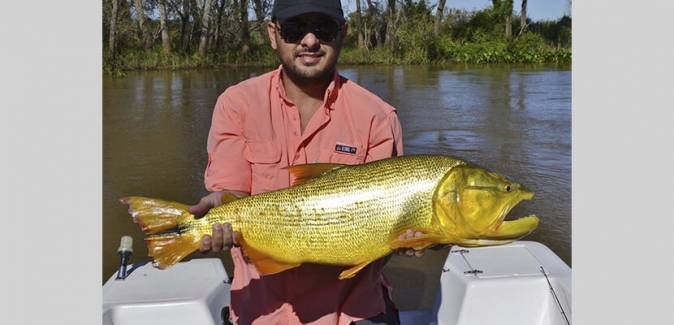 La Curiosa Excursões de Pesca - Peixes do Local